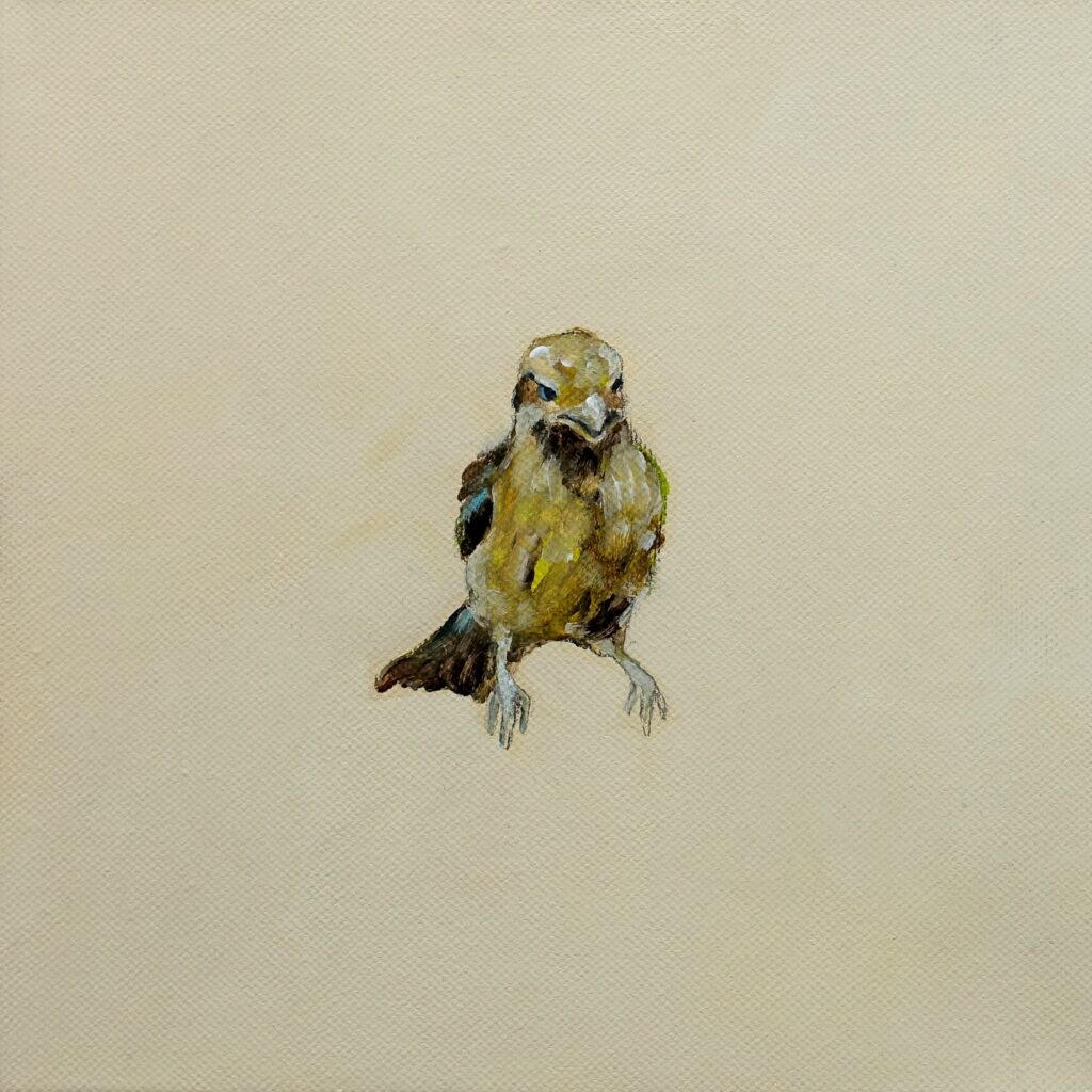 inside – out (Das Glück is a Vogerl), 20 x 20 cm, Acryl auf Leinen, 2017.